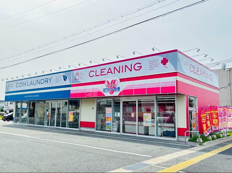 有限会社ACEの求人・転職情報