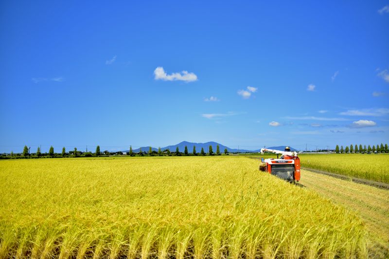 一般社団法人見附市観光物産協会の求人・転職情報