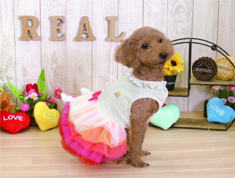 株式会社リアルの求人・転職情報