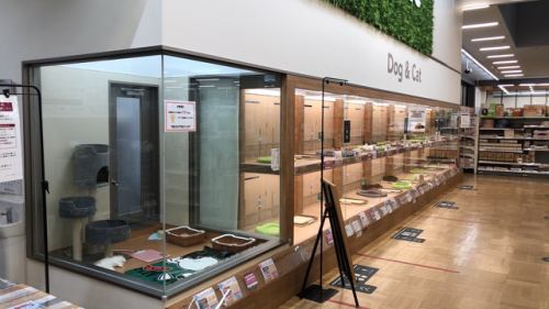 Pet's One 白河モール店のアルバイト・バイト求人情報-04