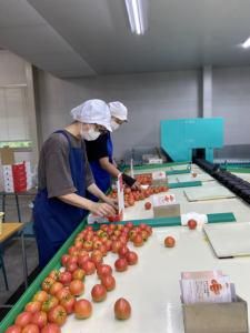 株式会社サンファーム 軽井沢のアルバイト・バイト求人情報-02