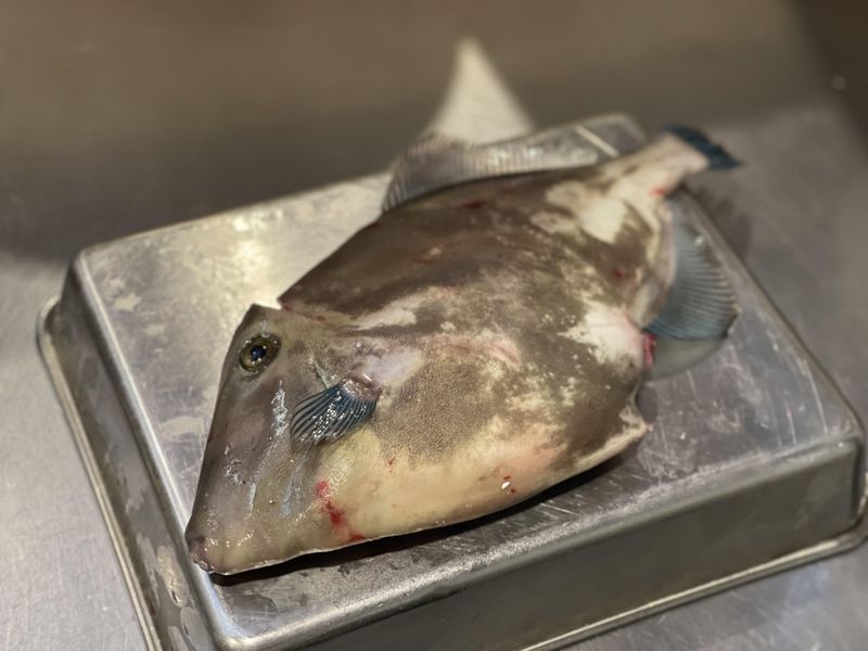 みぞのくち鮮魚店　魚んとのアルバイト・バイト求人情報-02