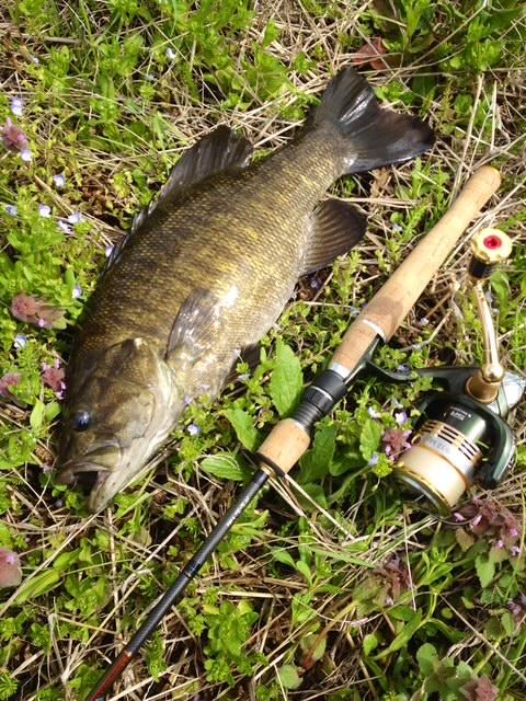 株式会社東和コーポレーション　秋葉原営業所【目黒区目黒本町】のアルバイト・バイト求人情報-03