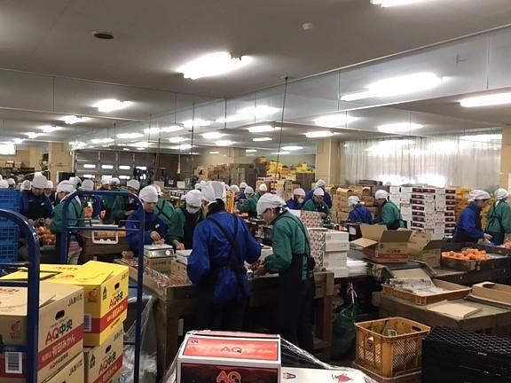 株式会社新潟中央パッケージセンターのアルバイト・バイト求人情報-02
