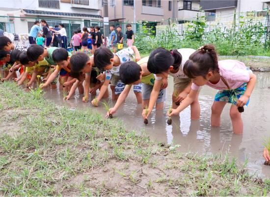 立花愛の園幼稚園のアルバイト・バイト求人情報-02