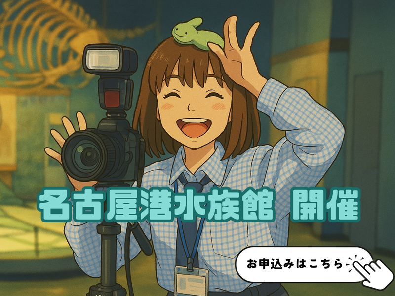 株式会社文教スタヂオ