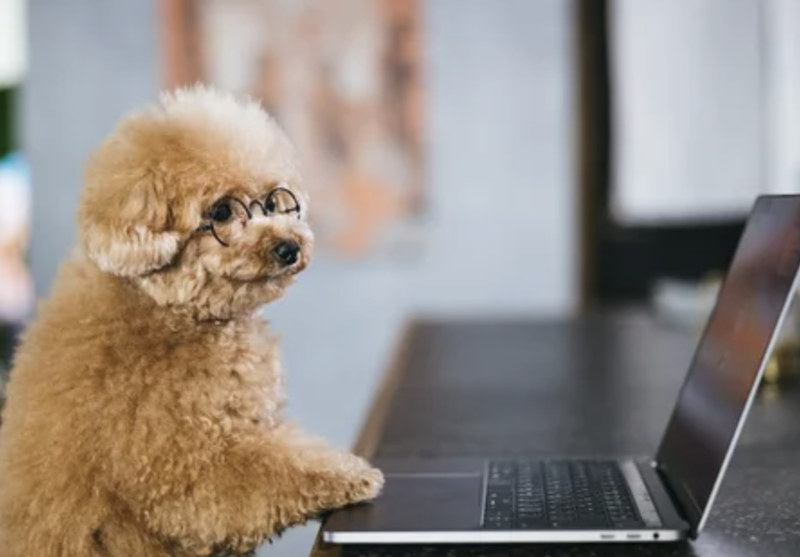 下野厄除大師の求人・転職情報