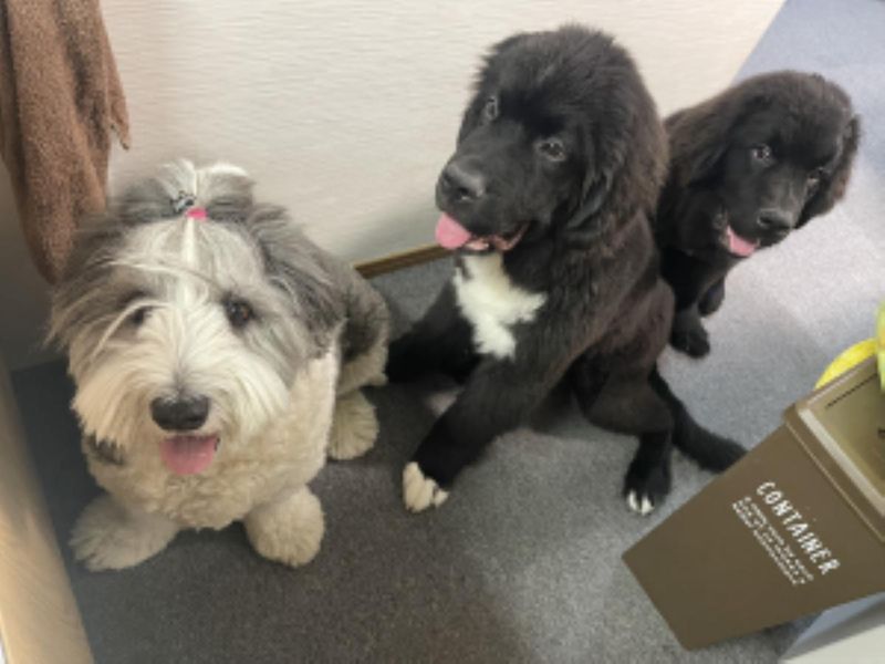 株式会社山本のアルバイト・バイト求人情報-05