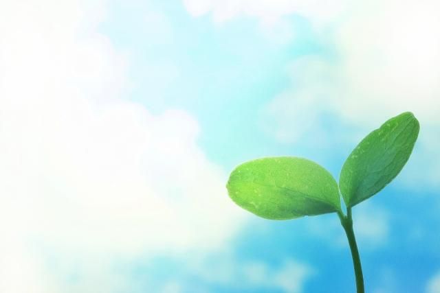 株式会社ミライエ