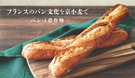 株式会社進々堂　本社工場の求人・転職情報