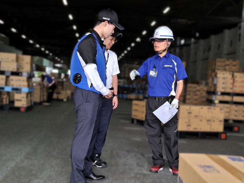 【半額】 フェニックスロベレニー 大型約2.5メートル 直接引取り歓迎 その他観葉植物