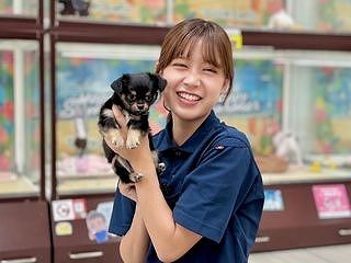 ひごペットフレンドリー　洛北阪急スクエア店のアルバイト・バイト求人情報-02