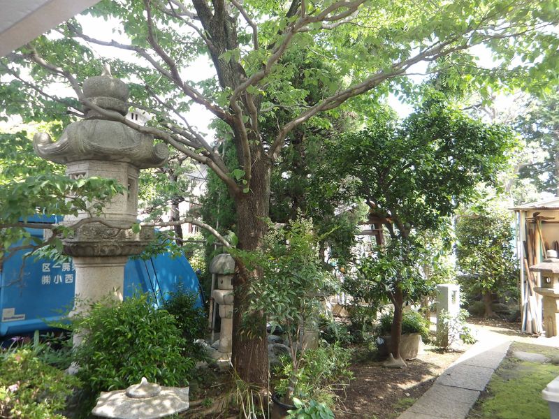 株式会社小西造園土木のアルバイト・バイト求人情報-03