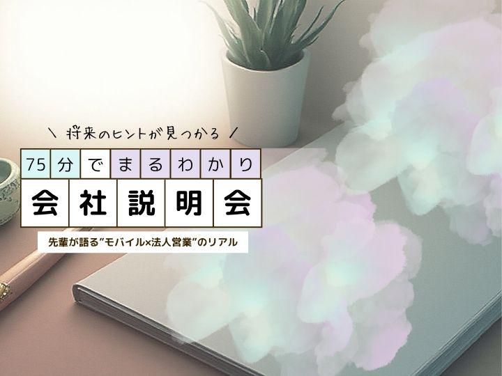 会社説明会/先輩が語る“法人営業のリアル”仕事の裏側紹介!!