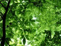 株式会社ドリームキャッチャーのアルバイト・バイト求人情報-02