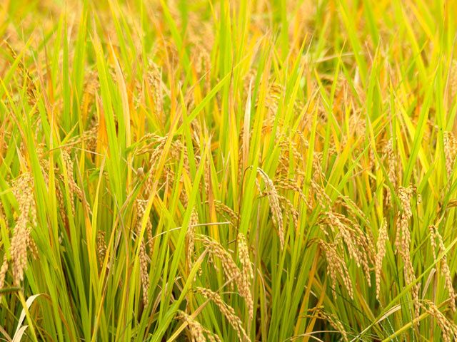 千葉県農業者総合支援センターの求人・転職情報