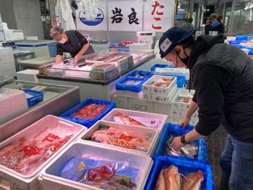 有限会社東京海洋資源研究所の求人情報