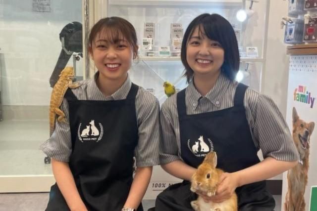 ペットショップNICOPETさいたま新都心店 　アークランズ株式会社のアルバイト・バイト求人情報-02
