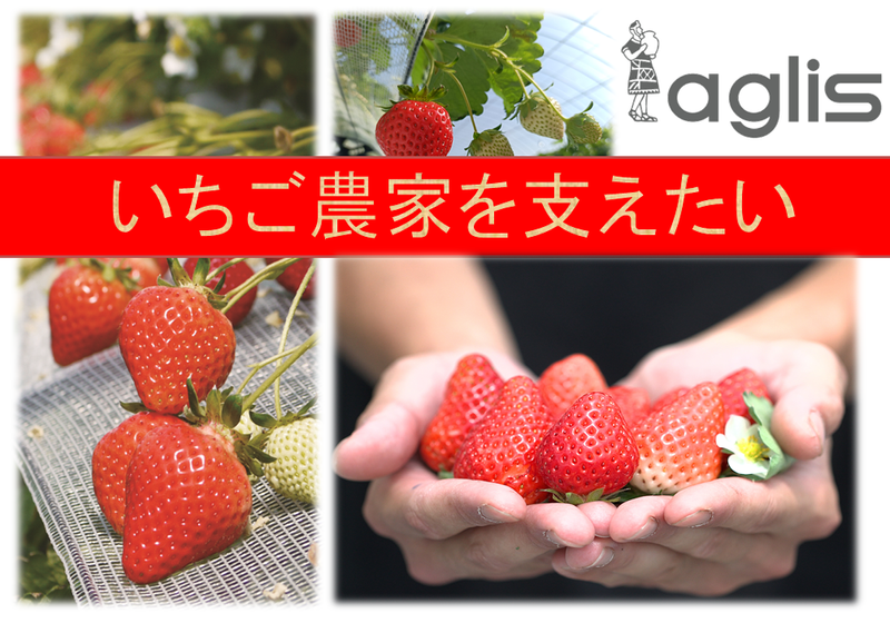 株式会社アグリス