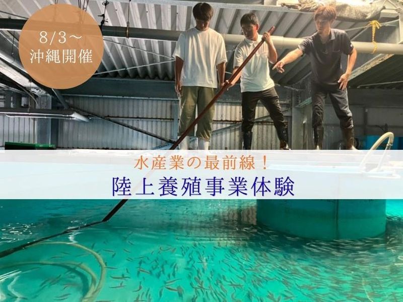 陸上養殖事業体験(沖縄開催)コース