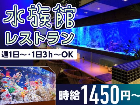 シーフードレストラン　メヒコ　有明店のアルバイト・バイト求人情報-19