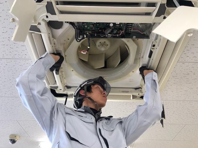 株式会社JAPANホワイトの求人・転職情報