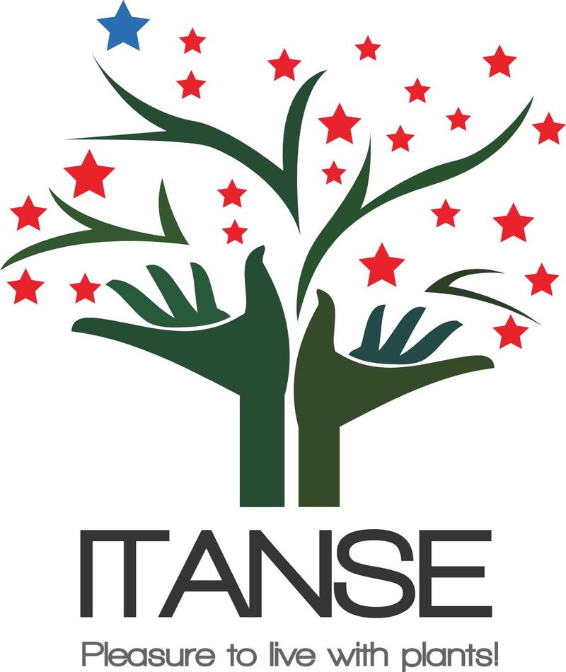 株式会社ＩＴＡＮＳＥの求人・転職情報