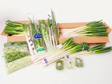 株式会社ファーマーズトラスト　本社のアルバイト・バイト求人情報-02