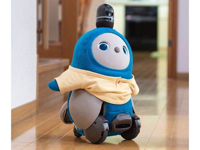 合同会社ステディの求人・転職情報