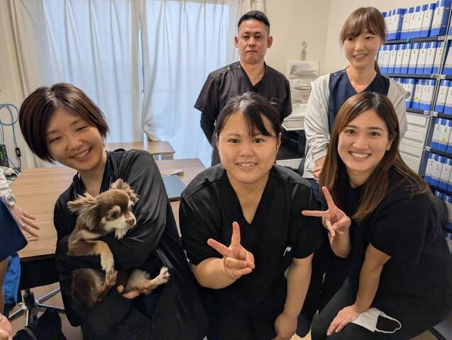 株式会社サンブルーム　はるいろ訪問看護ステーションの求人・転職情報