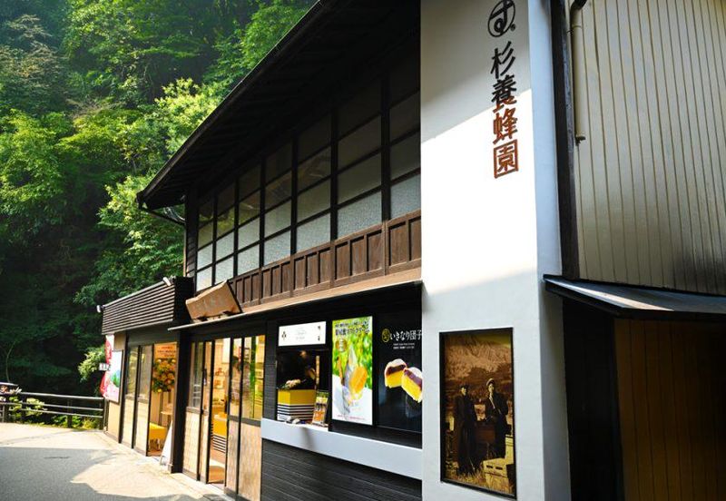 株式会社杉養蜂園-0004の求人・転職情報