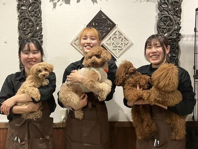 トリミングサロン　Lucuの求人・転職情報