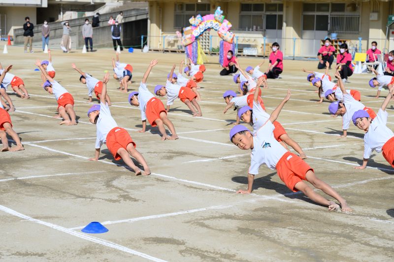 ノビッコ緑地本園　株式会社ISKARの求人情報