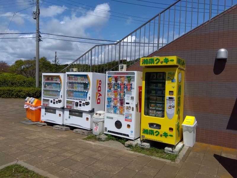 株式会社湘南クッキーの求人・転職情報
