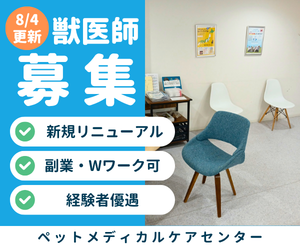 株式会社ベッツリンクの求人・転職情報