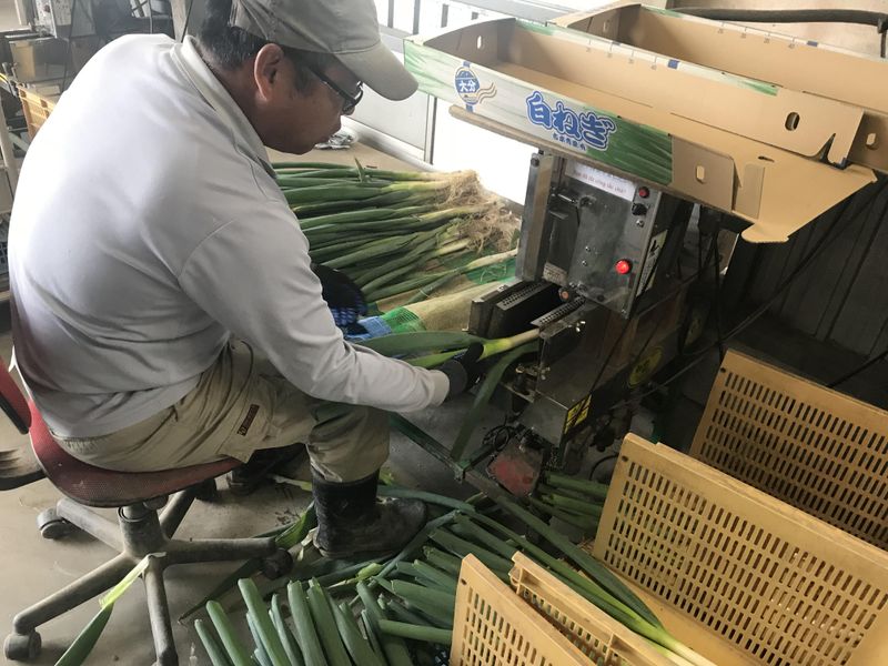 株式会社菜果野アグリのアルバイト・バイト求人情報-03