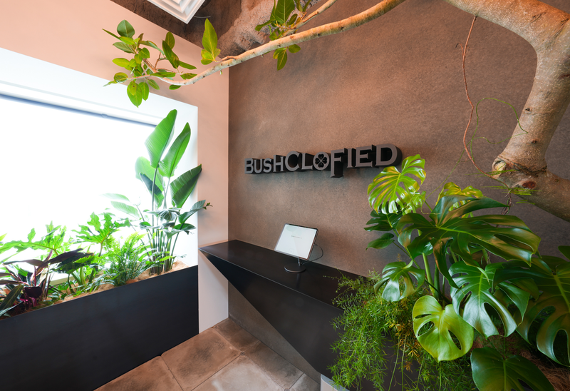 株式会社ブッシュクロフィードの求人・転職情報