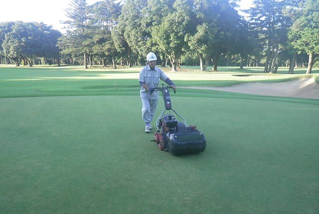 株式会社グリーンセクションの派遣求人情報