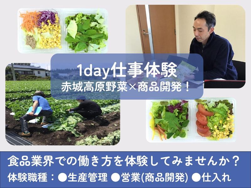 株式会社ヤマダイフーズ
