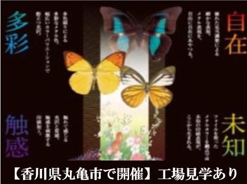 28卒|印刷業界の製造職|巨大印刷機と職人技に触れる工場見学