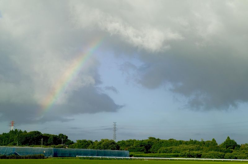 有限会社大滝の求人・転職情報