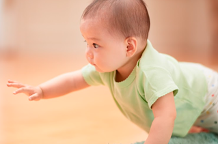 ピジョン株式会社の求人・転職情報