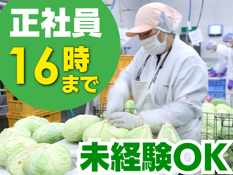 株式会社矢場とんの求人・転職情報