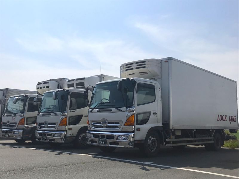 株式会社ルックラインの求人・転職情報