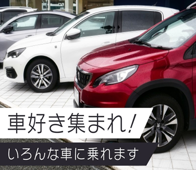 株式会社ジャパン・リリーフ　船橋支店の派遣求人情報
