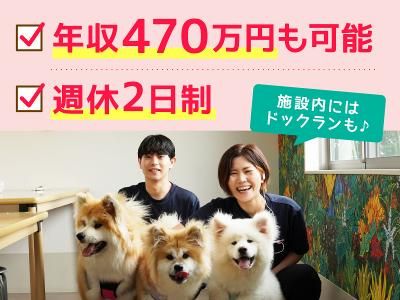 株式会社ケアリーの求人・転職情報