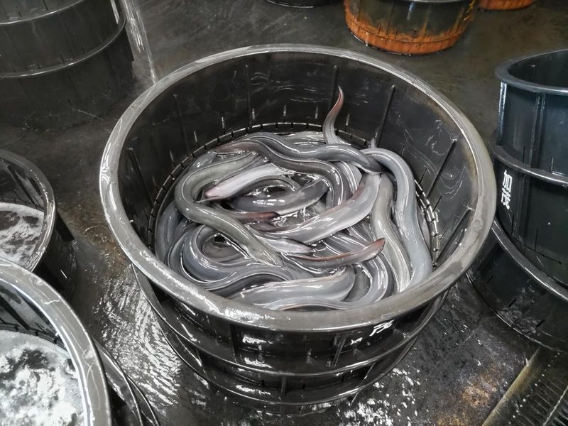 株式会社加茂水産