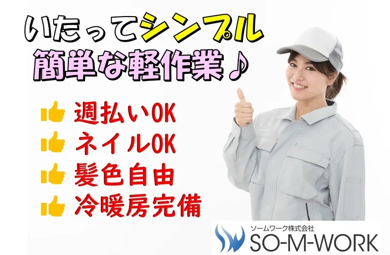 ソームワーク株式会社のアルバイト・バイト求人情報