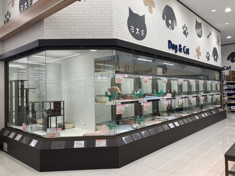 ペットショップスワンAペットサウス亀山店のアルバイト・バイト求人情報-01