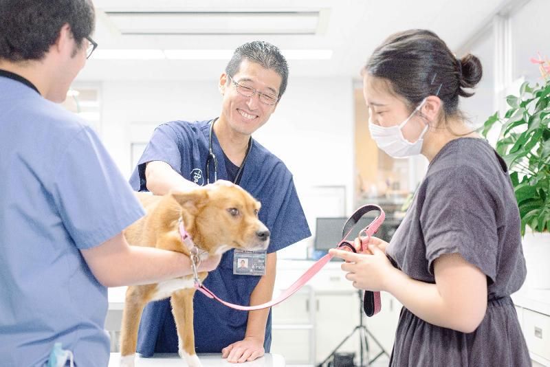有限会社ASA.A.H.のアルバイト・バイト求人情報-02